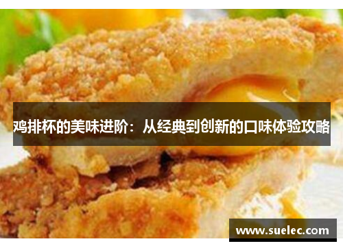 鸡排杯的美味进阶：从经典到创新的口味体验攻略