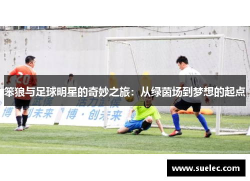 笨狼与足球明星的奇妙之旅：从绿茵场到梦想的起点