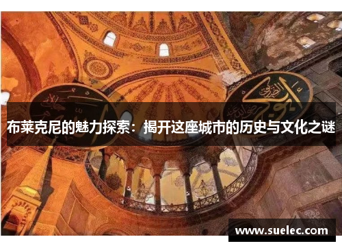 布莱克尼的魅力探索：揭开这座城市的历史与文化之谜